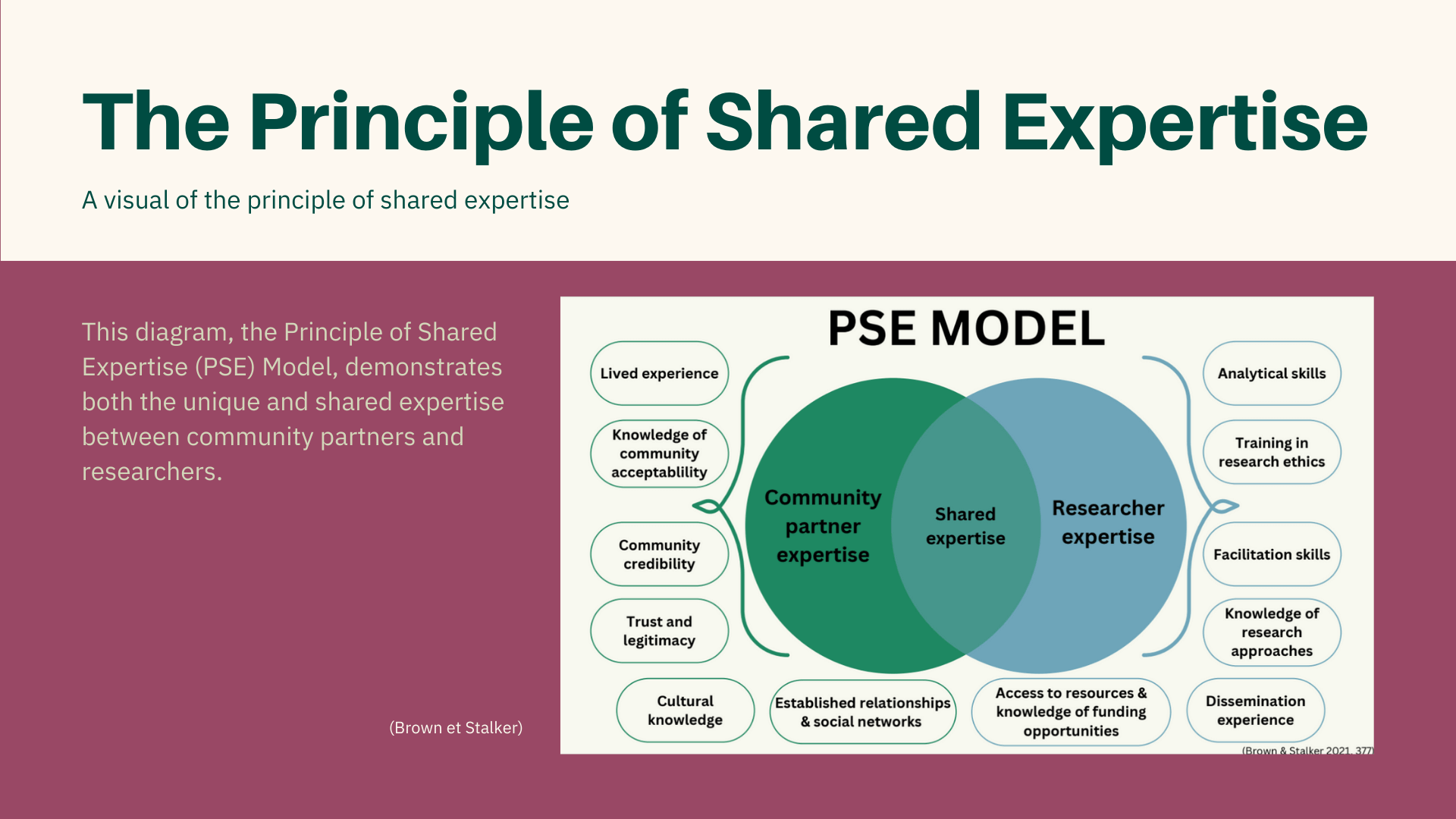 An overview of the PSE model - the principle of shared expertise
